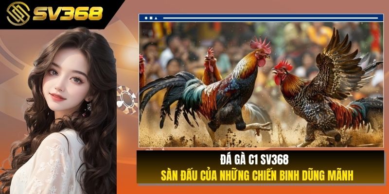 Đá gà C1 SV368 - Sàn Đấu Của Những Chiến Binh Dũng Mãnh