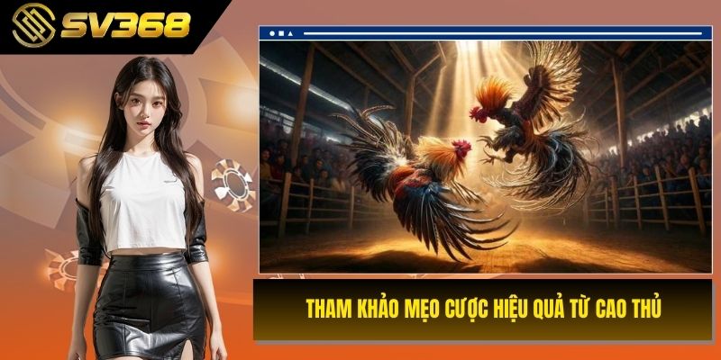 Tham khảo mẹo cược hiệu quả từ cao thủ