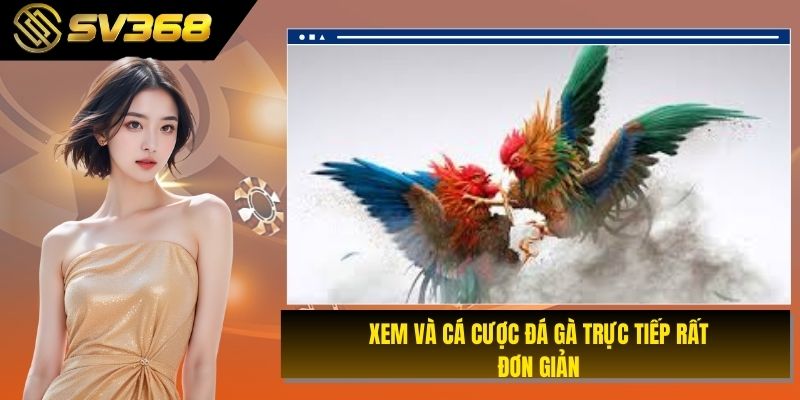 Xem và cá cược đá gà trực tiếp rất đơn giản