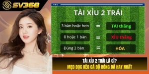 Tài Xỉu 2 Trái Là Gì? Mẹo Đọc Kèo Cá Độ Bóng Đá Hay Nhất